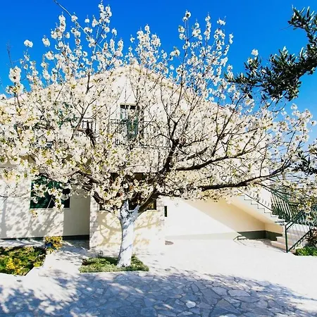 Family Friendly House With A Swimming Pool Plano, Trogir - 21403 Prázdninový dům